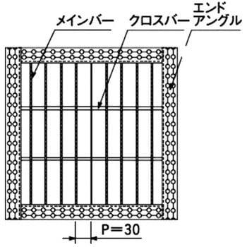 普通目ためますぶた イズミ