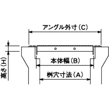 普通目ためますぶた イズミ