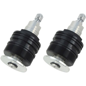 028665-03 �C�j�V�����A�W���X�^�[ ��/�� POSH Faith 88568524