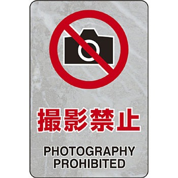 807-73A �����ē��p�����X�e�b�J�[ ���j�b�g 88596112