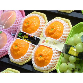 PS BPフルーツ2L PackStyle(パックスタイル)