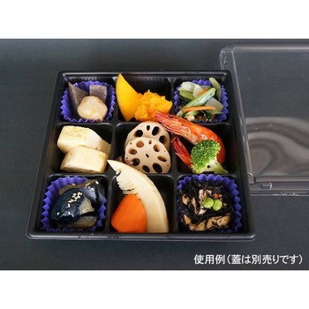 SDキャセロ 身 中央化学