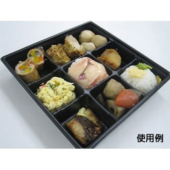 SDキャセロ 身 中央化学