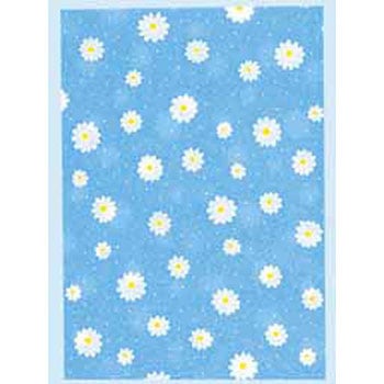 �K���t�N�� 18 �v���G-�� B ������ HEIKO 88627926