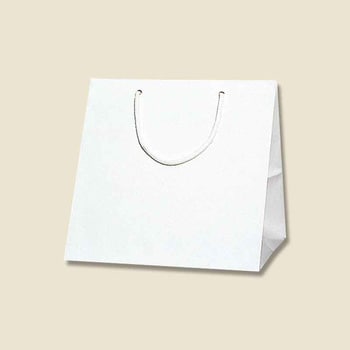 紙袋 ブライトバッグ HEIKO