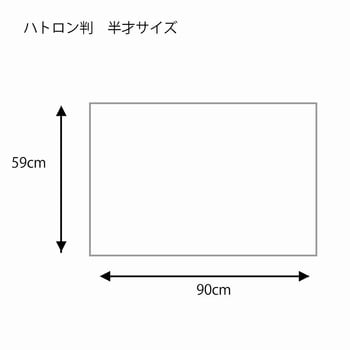 一般包装紙 ハトロン判半才特厚 HEIKO