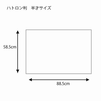 一般包装紙 ハトロン判半才 HEIKO