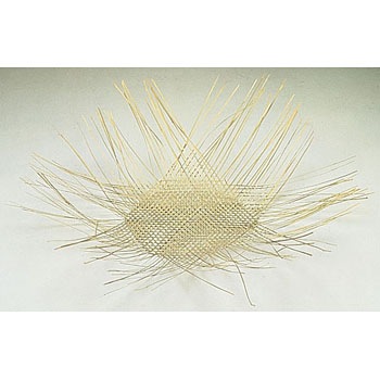 - �|�� ������ �ݗm 88755152