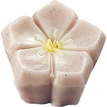 手彫物相型(上生菓子用) キキョウ 鈴木製作所