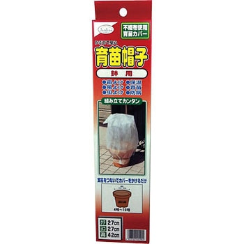 育苗帽子 渡辺泰