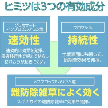 アースカマイラズ草消滅 1本(6L) アース製薬 【通販サイトMonotaRO】