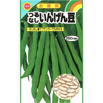 徳用 つるなしいんげん豆 1袋 13g アタリヤ農園 通販モノタロウ