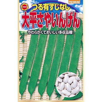 551022 つるありすじなし大平さやいんげん 1袋(15mL) アタリヤ農園