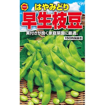早生枝豆 アタリヤ農園 野菜の種 春まき 通販モノタロウ