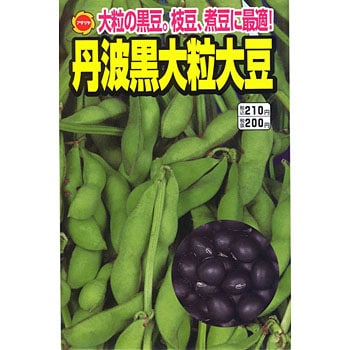 110144 丹波黒大豆 1袋(17mL) アタリヤ農園 【通販モノタロウ】