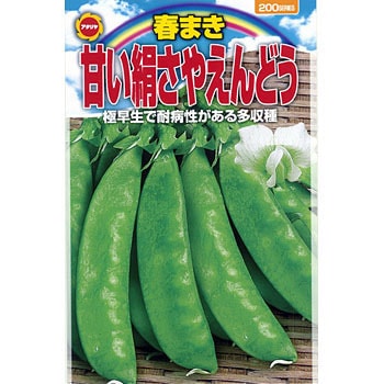 春まき 甘い絹さやえんどう アタリヤ農園 野菜の種 春まき 通販モノタロウ