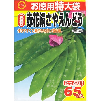515147 【タネ】お徳用特大袋 つるあり赤花絹さやえんどう 1袋(40mL