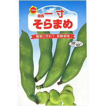 陵西一寸 そらまめ アタリヤ農園 野菜の種 秋まき 通販モノタロウ