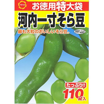 515185 お徳用特大袋 河内一寸そら豆 1袋(110mL) アタリヤ農園 【通販