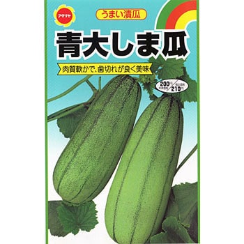 青大しま瓜 1袋 4ml アタリヤ農園 通販サイトmonotaro