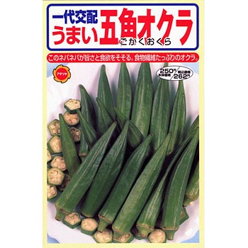 一代交配 五角オクラ アタリヤ農園