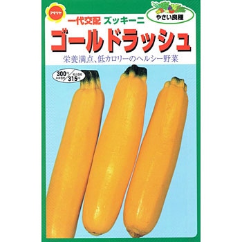 ズッキーニ ゴールドラッシュ アタリヤ農園 野菜の種 春まき 通販モノタロウ