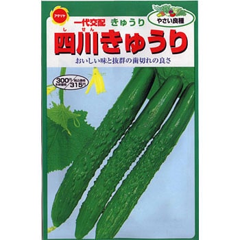 113725 四川きゅうり 1袋(10g) アタリヤ農園 【通販モノタロウ】