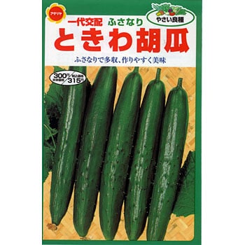 野菜の種【きゅうり】ときわ地這 （新ときわ地這い胡瓜 / つる新