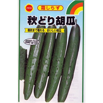 2153 タネ 霜しらず秋どり胡瓜 1袋 2ml アタリヤ農園 通販サイトmonotaro