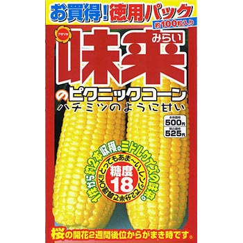 114029 徳用 味来ピクニックコーン 1袋(20mL) アタリヤ農園