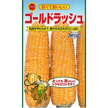 110106 とうもろこしゴールドラッシュ 1袋(18mL) アタリヤ農園 【通販