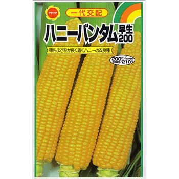 113770 ハニーバンタム 早生200 1袋(16mL) アタリヤ農園 【通販