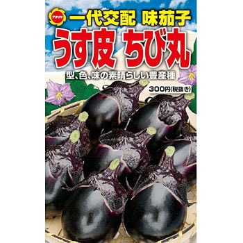 味なす うす皮ちび丸 アタリヤ農園 野菜の種 春まき 通販モノタロウ