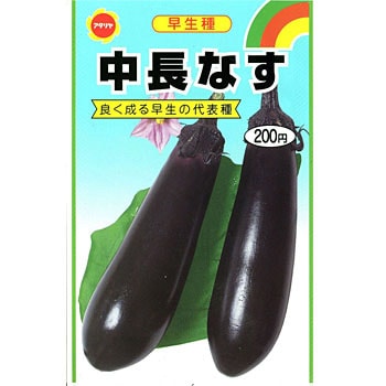 111516 中長なす 1袋(4mL) アタリヤ農園 【通販モノタロウ】