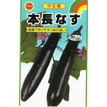 長なす　１００本　農家直送 111530 本長茄子 1袋(3mL) アタリヤ農園 【通販モノタロウ】