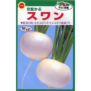 スワン蕪 アタリヤ農園 野菜の種 秋まき 通販モノタロウ