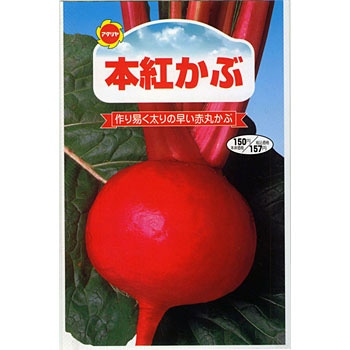 【タネ】本紅かぶ アタリヤ農園