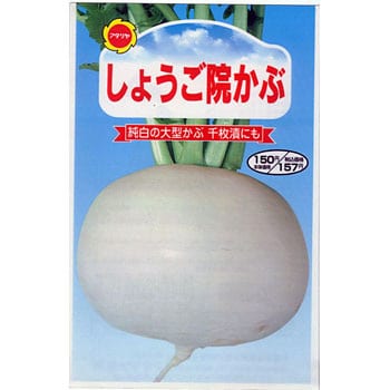 タネ 聖護院かぶ アタリヤ農園 野菜の種 秋まき 通販モノタロウ