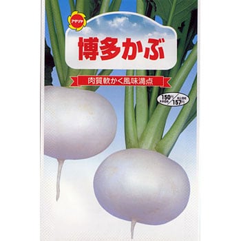 タネ 博多かぶ アタリヤ農園 野菜の種 秋まき 通販モノタロウ