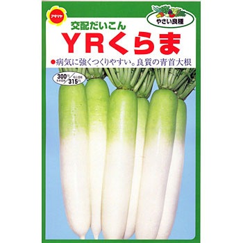 YRくらま だいこん - アタリヤ農園