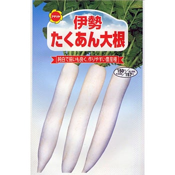 伊勢 たくあん大根