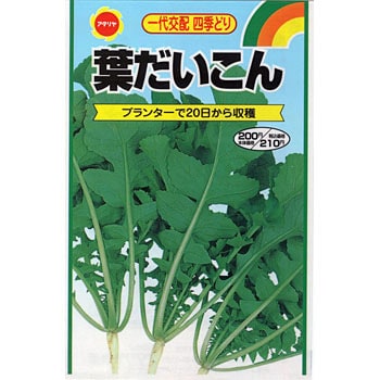 313514 【タネ】四季どり 葉だいこん 1袋(18mL) アタリヤ農園 【通販