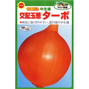 500297 ターボたまねぎ 中生 1袋(3mL) アタリヤ農園 【通販モノタロウ】