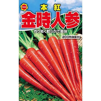 タネ 本紅 金時人参 アタリヤ農園 野菜の種 通年 通販モノタロウ タネ 本紅 金時人参 アタリヤ農園 野菜の種 通年 通販モノタロウ