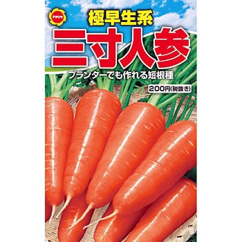 三寸人参 アタリヤ農園 野菜の種 通年 通販モノタロウ