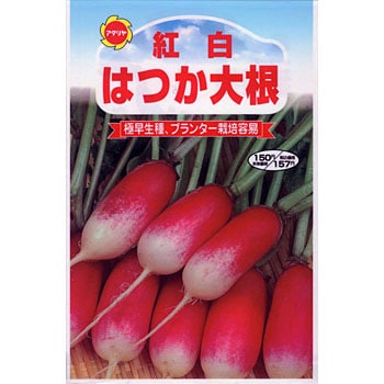 タネ 紅白はつか大根 アタリヤ農園 野菜の種 春まき 通販モノタロウ