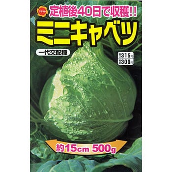 一代交配 ミニキャベツ 1袋 2 5ml アタリヤ農園 通販サイトmonotaro