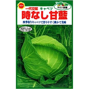 タネ ときなし甘藍 アタリヤ農園 野菜の種 通年 通販モノタロウ