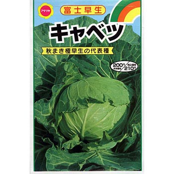CAT774360 【タネ】富士早生 キャベツ 1袋(3.5mL) アタリヤ農園 【通販