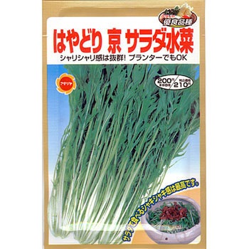 【タネ】京サラダ水菜 アタリヤ農園